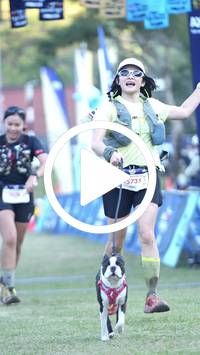 BIB:  <button type="button" onclick="openModal(26567158)" class="btn btn-primary btn-sm float-right" data-toggle="modal" data-target=".modal-high-quality">
                <i class="fa fa-download"></i> Download
                </button>